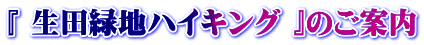 �w ���c�Βn�n�C�L���O �x�̂��ē�